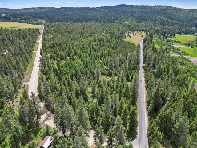0 N Milan-Elk Rd Unit 49194.9085, Chattaroy, WA 99003 - photo 11