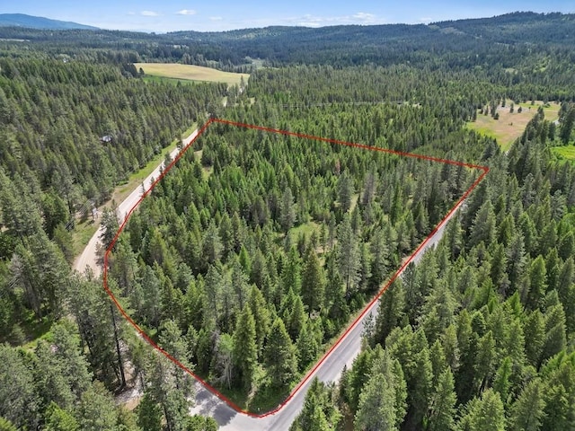0 N Milan-Elk Rd Unit 49194.9085, Chattaroy, WA 99003 - photo 12