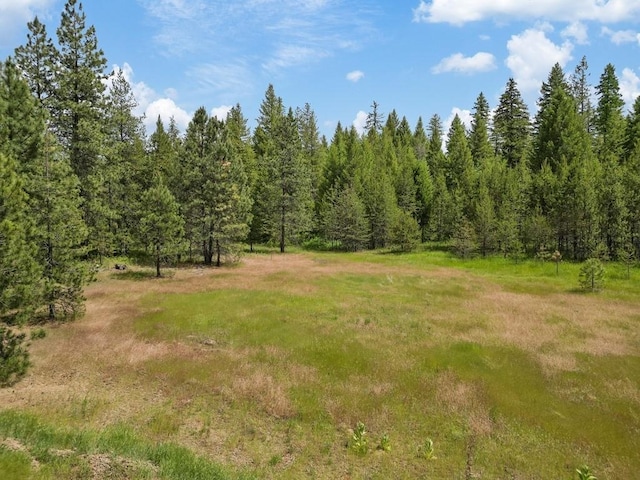 0 N Milan-Elk Rd Unit 49194.9085, Chattaroy, WA 99003 - photo 13