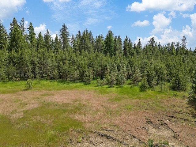 0 N Milan-Elk Rd Unit 49194.9085, Chattaroy, WA 99003 - photo 14