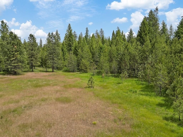 0 N Milan-Elk Rd Unit 49194.9085, Chattaroy, WA 99003 - photo 15