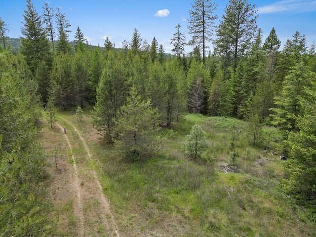 0 N Milan-Elk Rd Unit 49194.9085, Chattaroy, WA 99003 - photo 16