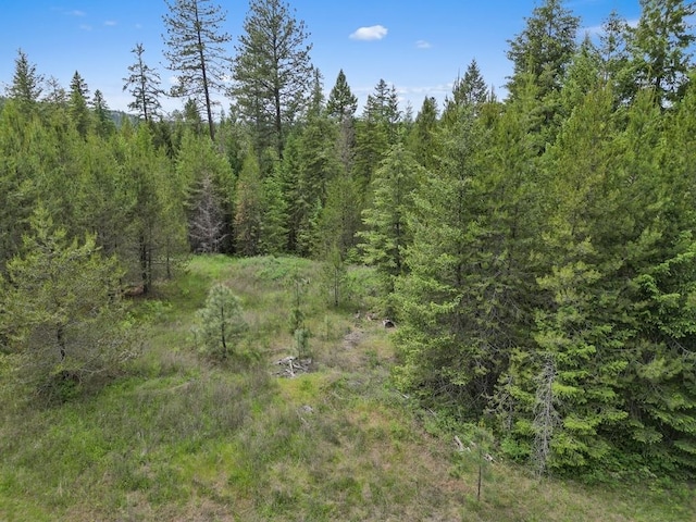 0 N Milan-Elk Rd Unit 49194.9085, Chattaroy, WA 99003 - photo 17