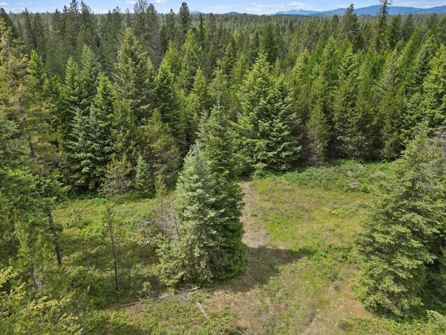 0 N Milan-Elk Rd Unit 49194.9085, Chattaroy, WA 99003 - photo 18