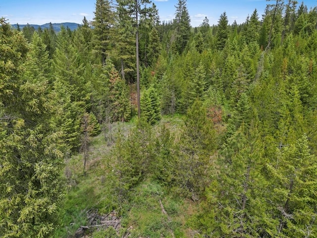 0 N Milan-Elk Rd Unit 49194.9085, Chattaroy, WA 99003 - photo 19
