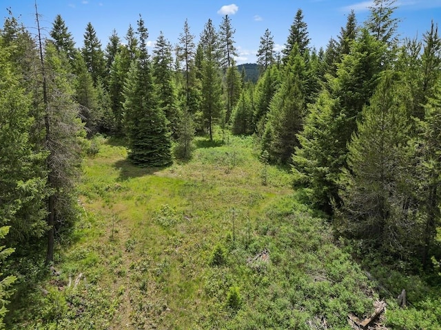 0 N Milan-Elk Rd Unit 49194.9085, Chattaroy, WA 99003 - photo 20