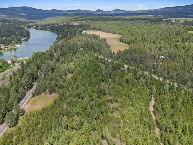 0 N Milan-Elk Rd Unit 49194.9085, Chattaroy, WA 99003 - photo 3