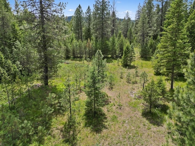 0 N Milan-Elk Rd Unit 49194.9085, Chattaroy, WA 99003 - photo 21