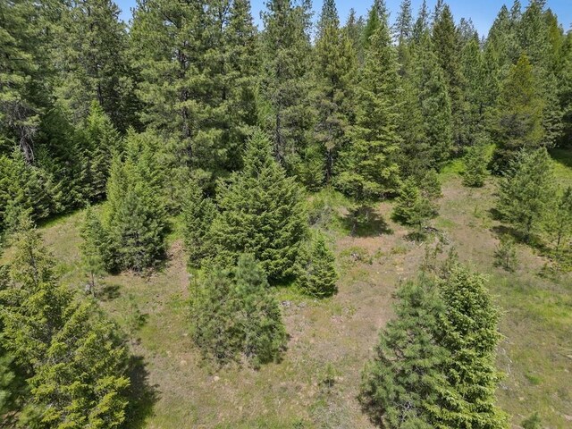 0 N Milan-Elk Rd Unit 49194.9085, Chattaroy, WA 99003 - photo 22