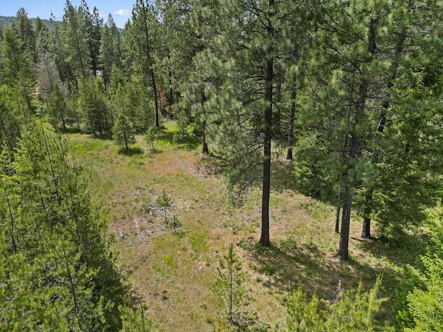0 N Milan-Elk Rd Unit 49194.9085, Chattaroy, WA 99003 - photo 23