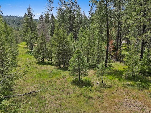 0 N Milan-Elk Rd Unit 49194.9085, Chattaroy, WA 99003 - photo 24