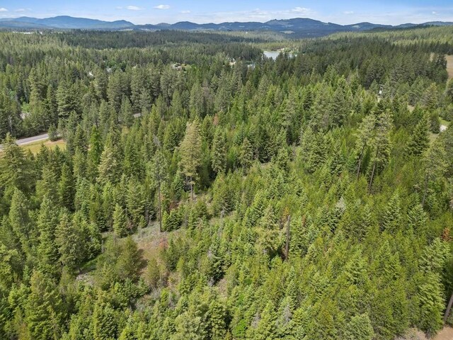 0 N Milan-Elk Rd Unit 49194.9085, Chattaroy, WA 99003 - photo 5