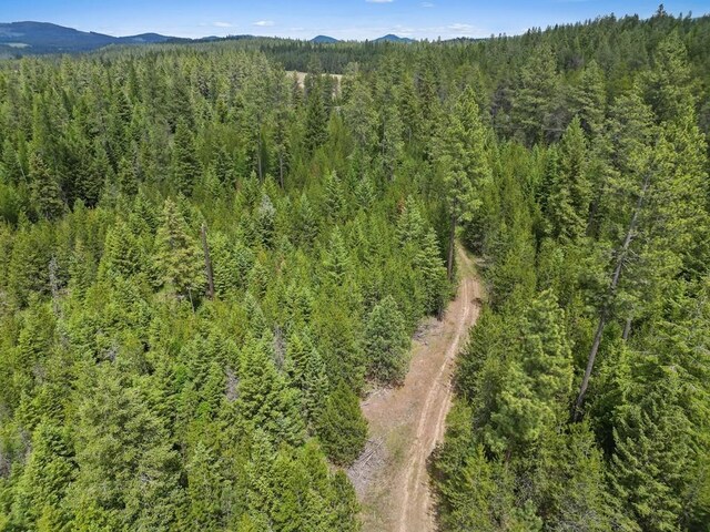 0 N Milan-Elk Rd Unit 49194.9085, Chattaroy, WA 99003 - photo 6
