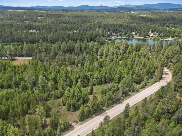 0 N Milan-Elk Rd Unit 49194.9085, Chattaroy, WA 99003 - photo 8