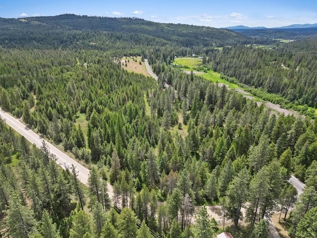 0 N Milan-Elk Rd Unit 49194.9085, Chattaroy, WA 99003 - photo 10
