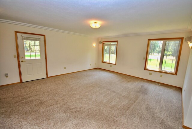 3704 E Pineland Rd, Colbert, WA 99005 - empty room with ornamental molding, carpet floors, and baseboards