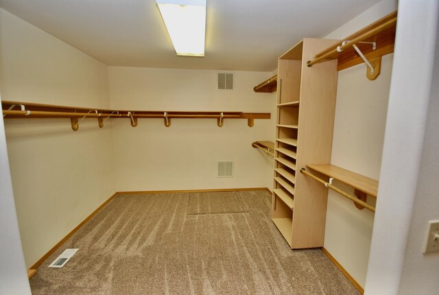 3704 E Pineland Rd, Colbert, WA 99005 - spacious closet with carpet floors