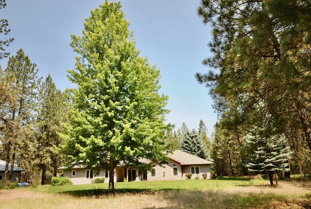 3704 E Pineland Rd, Colbert, WA 99005 - view of green lawn