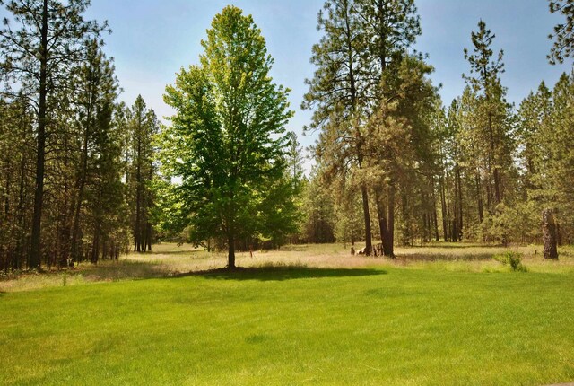 3704 E Pineland Rd, Colbert, WA 99005 - view of grassy yard featuring a wooded view