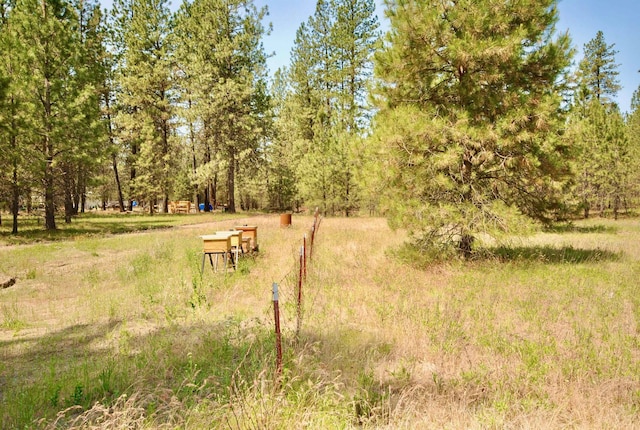 3704 E Pineland Rd, Colbert, WA 99005 - view of yard featuring a forest view