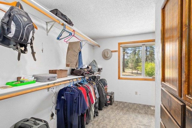 4615 E Russell Rd, Colbert, WA 99005 - spacious closet with carpet flooring