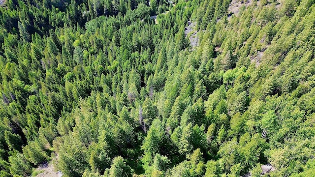 NNA Mccloud Creek Rd, Newport, WA 99156