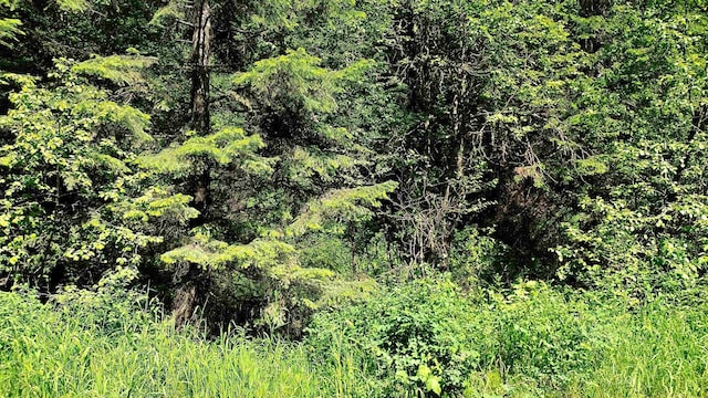 NNA Mccloud Creek Rd, Newport, WA 99156