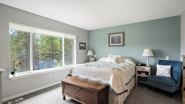 36918 N Valley Rd, Chattaroy, WA 99003 - bedroom with carpet floors and baseboards