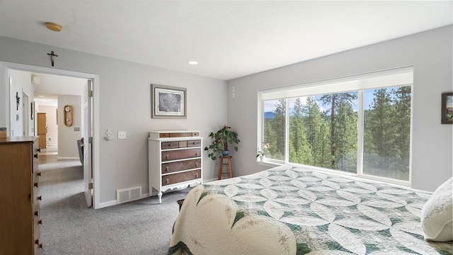 36918 N Valley Rd, Chattaroy, WA 99003 - bedroom featuring carpet, baseboards, and recessed lighting