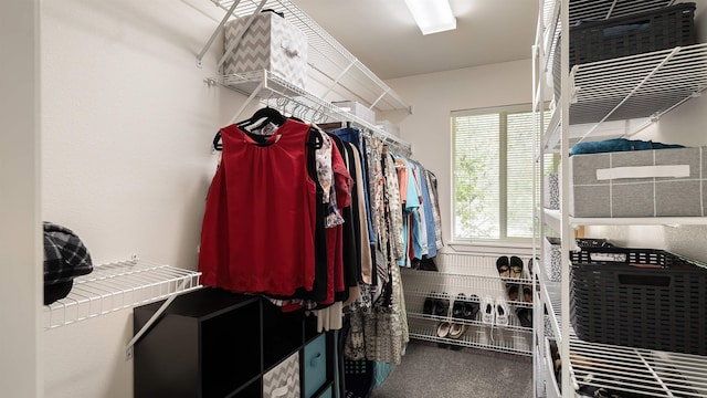36918 N Valley Rd, Chattaroy, WA 99003 - view of spacious closet