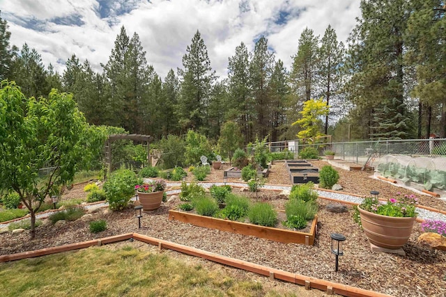 36918 N Valley Rd, Chattaroy, WA 99003 - view of yard featuring a vegetable garden