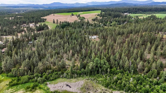 36918 N Valley Rd, Chattaroy, WA 99003 - drone / aerial view of mountains and a forest