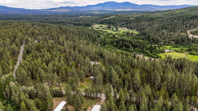 36918 N Valley Rd, Chattaroy, WA 99003 - aerial overview of property's location with a forest and a mountainous background