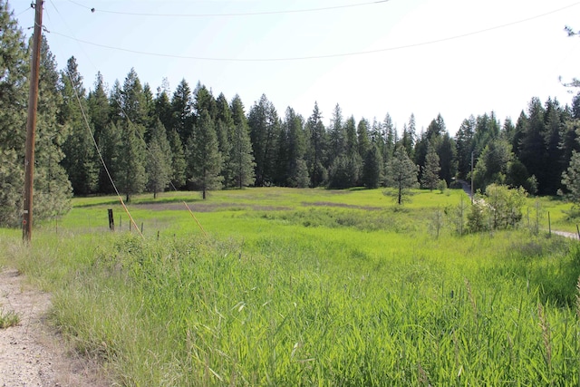 42604 Hatch Rd, Deer Park, WA 99006 - view of tree filled area