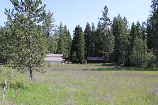 42604 Hatch Rd, Deer Park, WA 99006 - view of yard featuring a view of trees