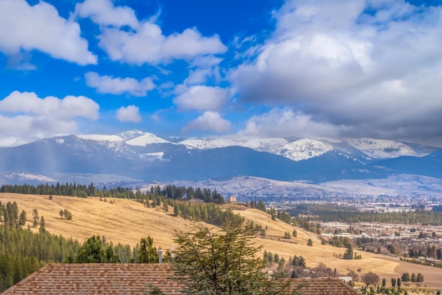 8518 E Black Oak Ln, Spokane, WA 99217 - mountain view