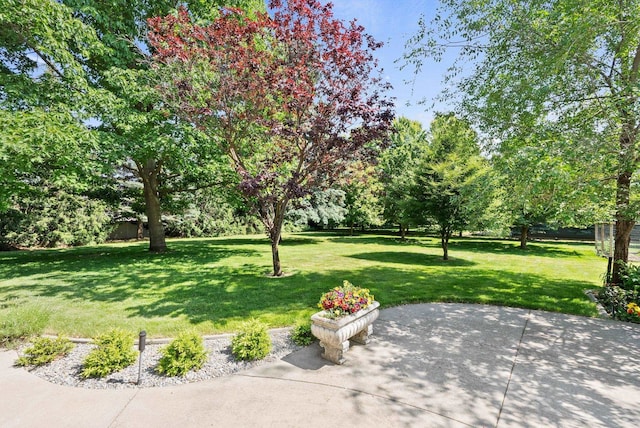 2203 W Strong Rd, Spokane, WA 99208 - view of green lawn featuring a patio and view of wooded area