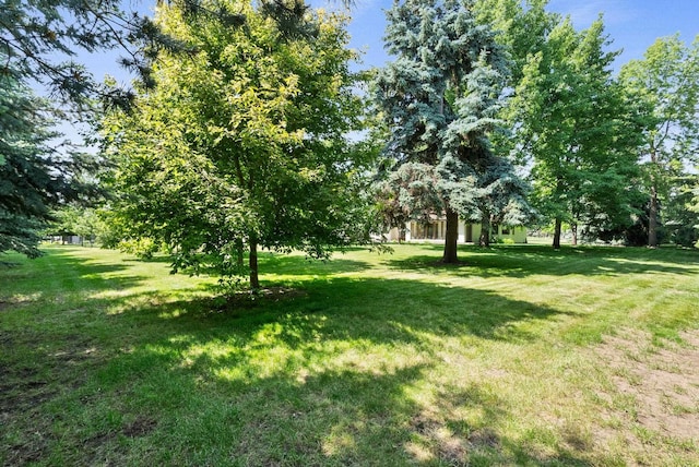 2203 W Strong Rd, Spokane, WA 99208 - view of green lawn