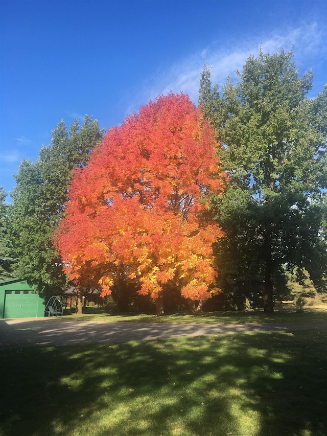 2203 W Strong Rd, Spokane, WA 99208 - view of grassy yard