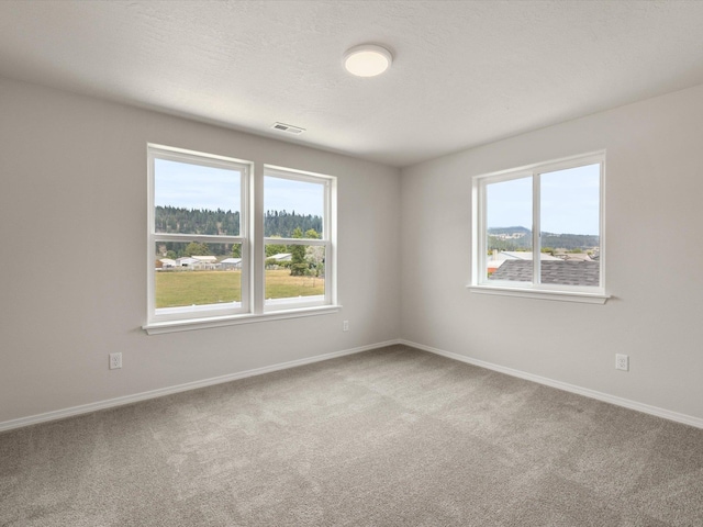 13216 E Olympic Ln Unit 4/1Talent, Spokane Valley, WA 99216 - photo 23
