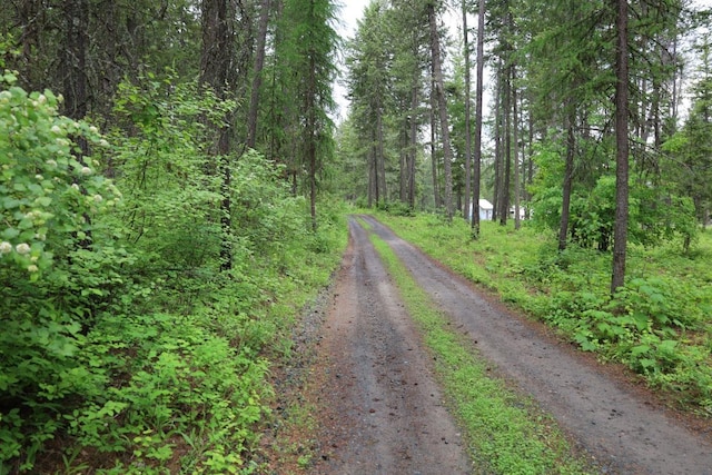 2559 United Copper Mine Rd, Chewelah, WA 99109