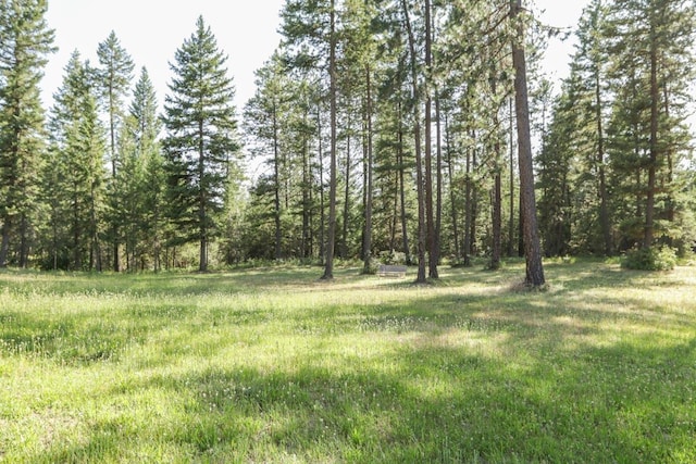2559 United Copper Mine Rd, Chewelah, WA 99109
