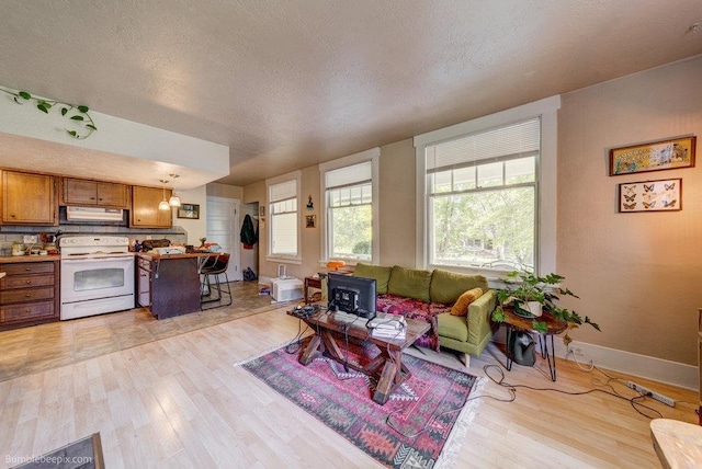1611 W 9th Ave, Spokane, WA 99223 - living area with light wood finished floors, baseboards, and a textured ceiling