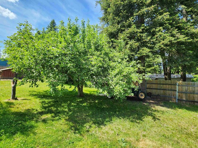 424 W Larch St, Newport, WA 99156 - view of yard