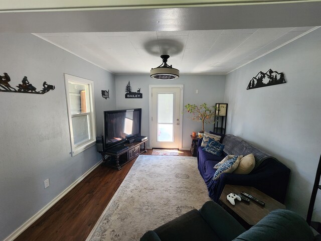 424 W Larch St, Newport, WA 99156 - living area with dark wood-style flooring, baseboards, and crown molding