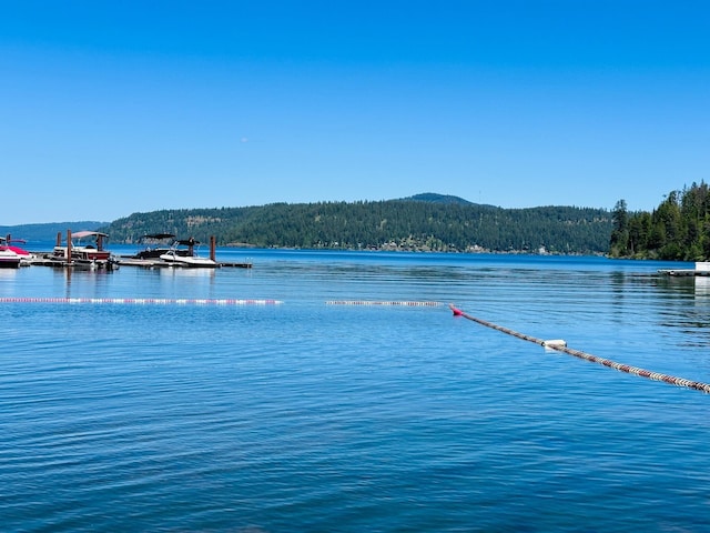 21503 S Cave Bay Rd, Worley, ID 83876