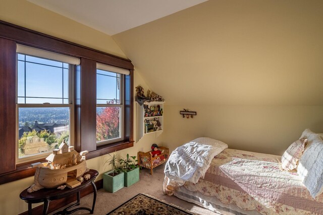 2510 S Thierman Ln, Spokane, WA 99223 - photo 32