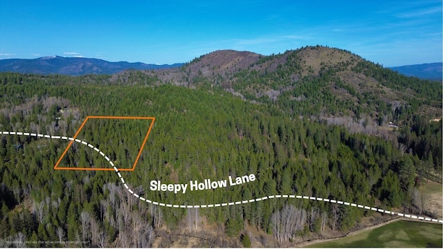 NNA Sleepy Hollow Ln, Newport, WA 99156 - photo 1
