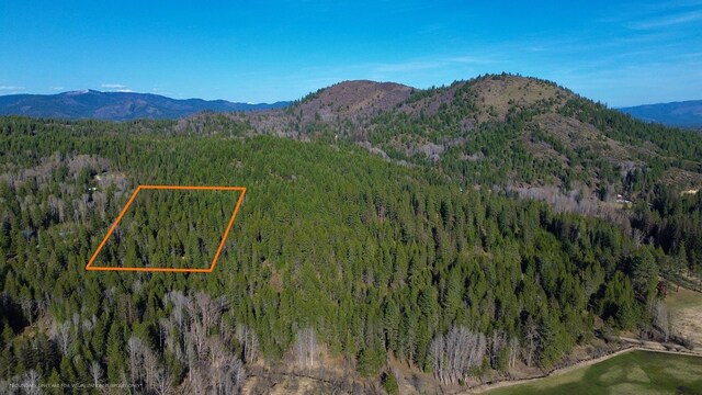 NNA Sleepy Hollow Ln, Newport, WA 99156 - photo 2
