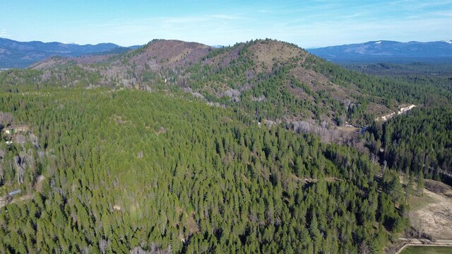 NNA Sleepy Hollow Ln, Newport, WA 99156 - photo 12